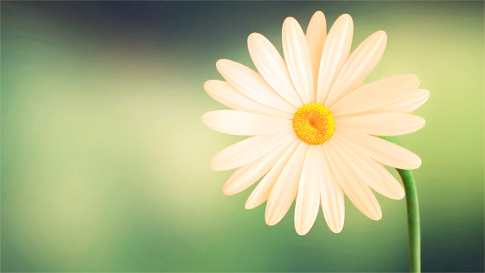 שימוש בנשמה לריפוי