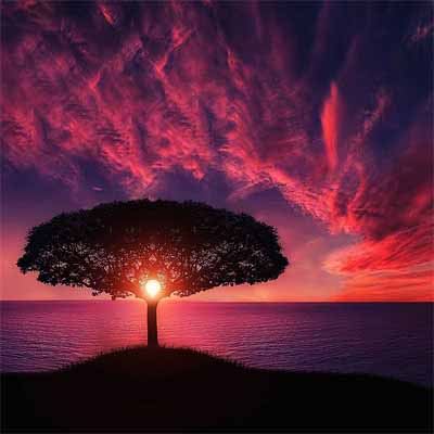 The Divine Spark’s Role